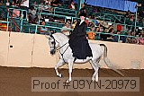 09yn-20979 proof