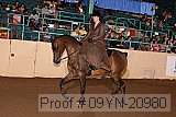 09yn-20980 proof