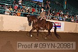 09yn-20981 proof