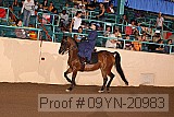 09yn-20983 proof