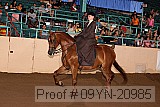 09yn-20985 proof