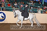 09yn-20986 proof