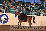 09yn-20987 proof