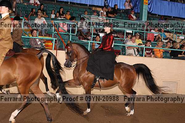 Proof 09yn-20988