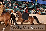09yn-20988 proof