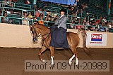 09yn-20989 proof
