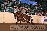 09yn-20990 proof