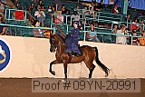 09yn-20991 proof