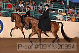 09yn-20994 proof