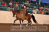 09yn-20995 proof
