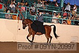 09yn-20997 proof