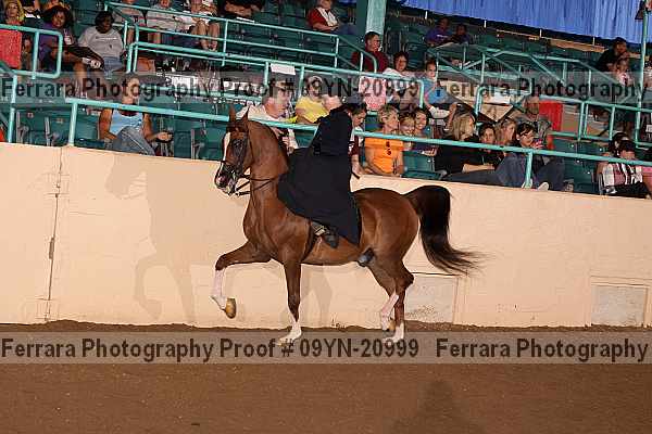 Proof 09yn-20999