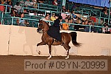 09yn-20999 proof
