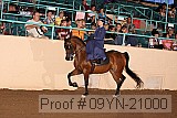 09yn-21000 proof