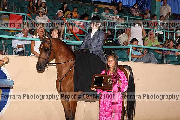 Proof 09yn-21008