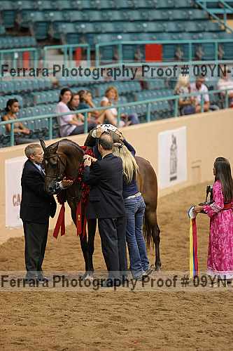 Proof 09yn-21023