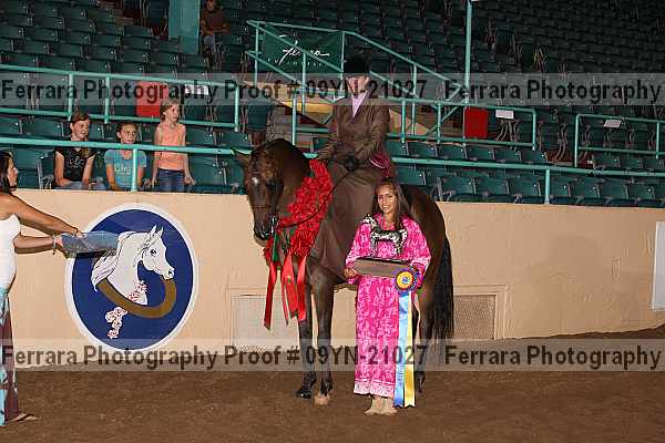 Proof 09yn-21027