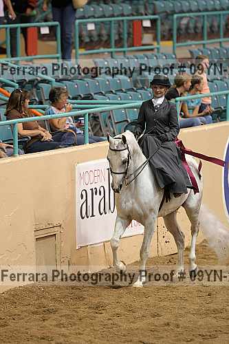 Proof 09yn-21031