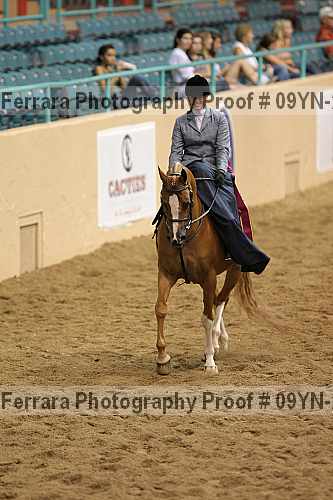 Proof 09yn-21036