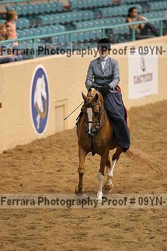 Proof 09yn-21037