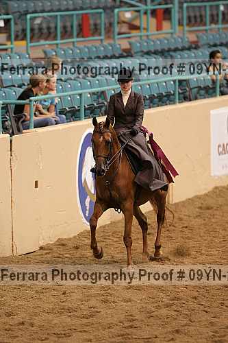 Proof 09yn-21040