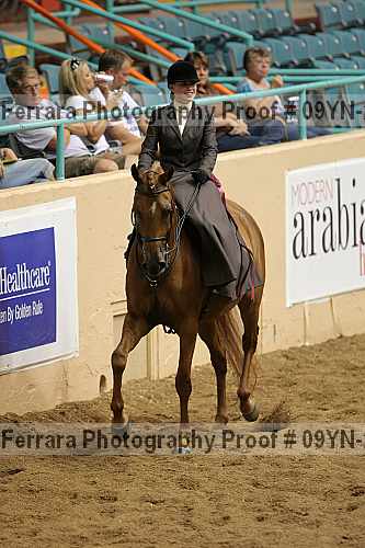 Proof 09yn-21041