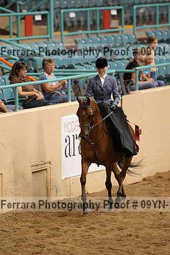 Proof 09yn-21043