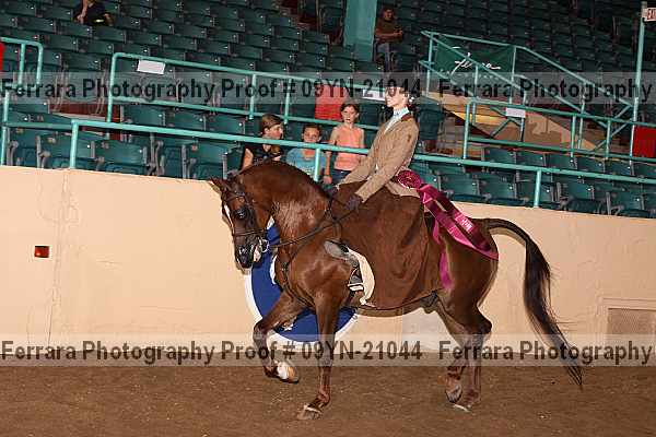 Proof 09yn-21044