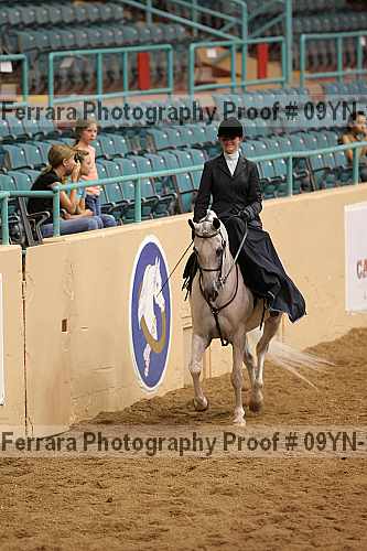 Proof 09yn-21045