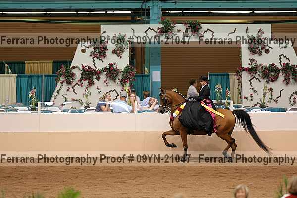 Proof 09yn-21047
