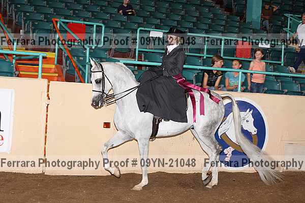 Proof 09yn-21048