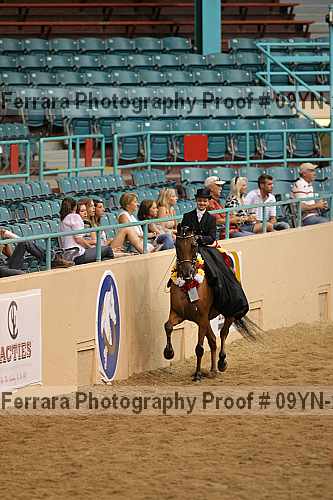 Proof 09yn-21049
