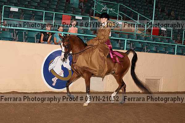 Proof 09yn-21052
