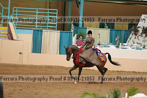 Proof 09yn-21053