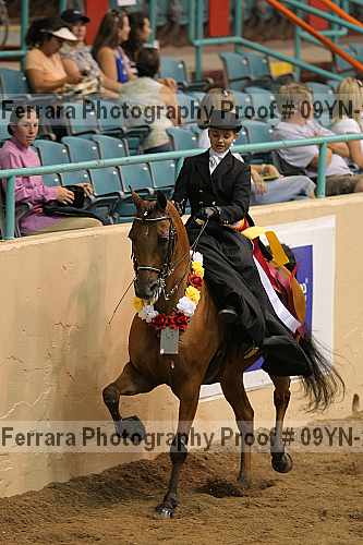 Proof 09yn-21054