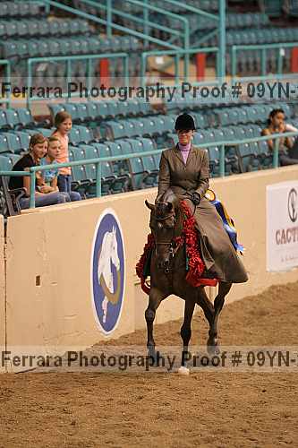 Proof 09yn-21055