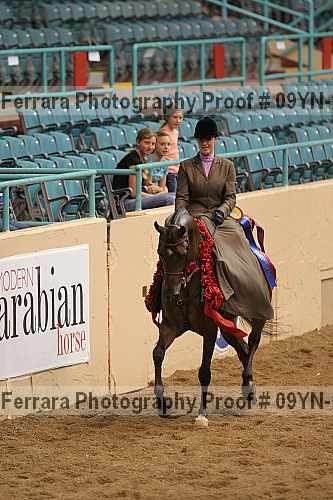 Proof 09yn-21056
