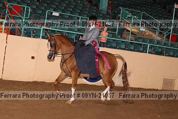 Proof 09yn-21057