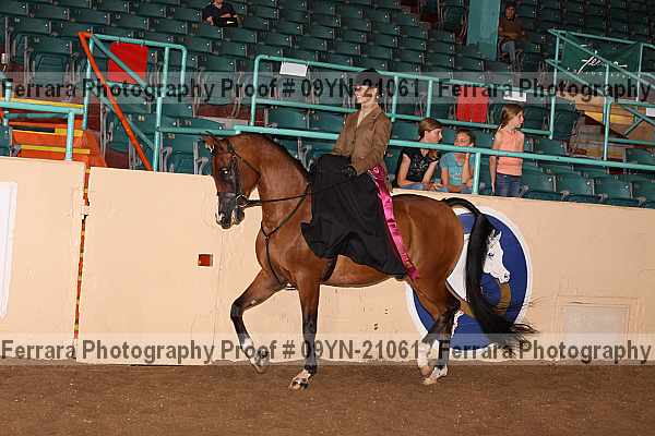 Proof 09yn-21061
