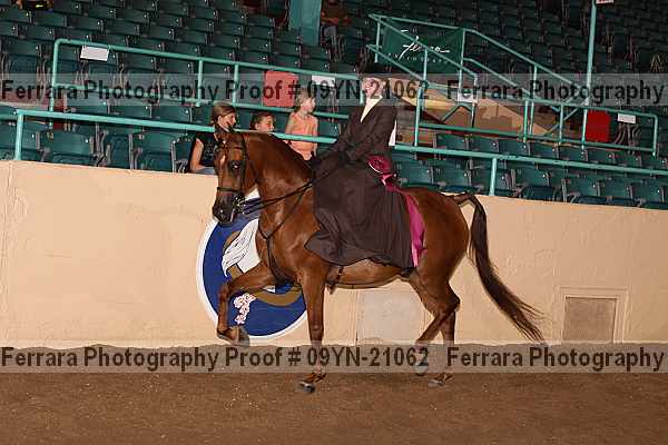 Proof 09yn-21062