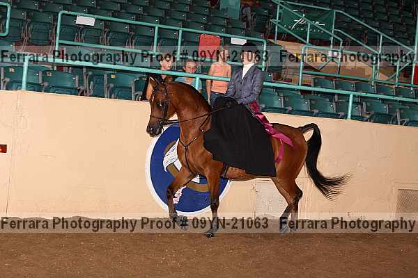 Proof 09yn-21063
