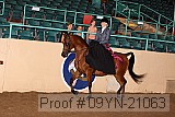 09yn-21063 proof