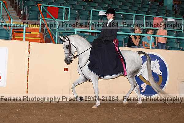 Proof 09yn-21064