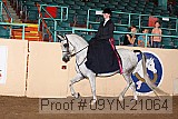 09yn-21064 proof
