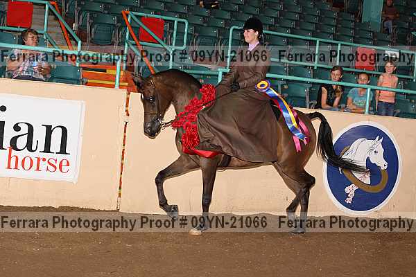 Proof 09yn-21066