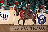 09yn-21066 proof
