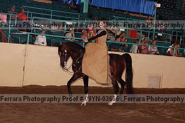 Proof 09yn-03656