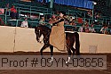 09yn-03656 proof