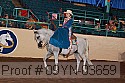 09yn-03659 proof