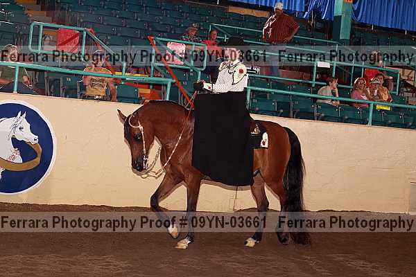 Proof 09yn-03661